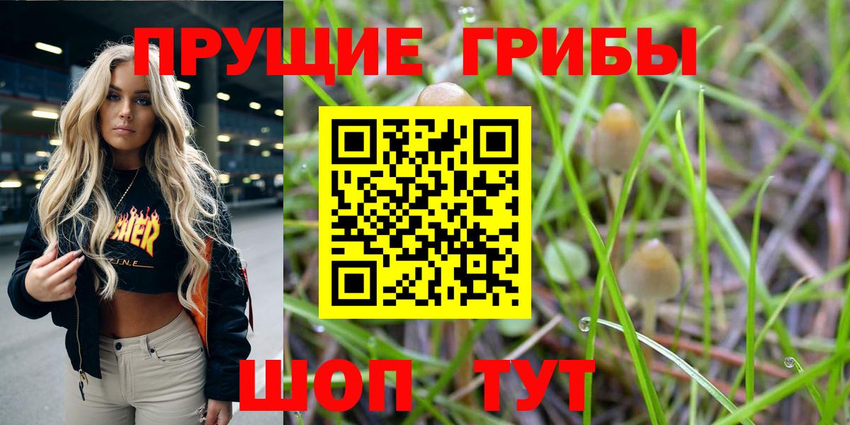 Псилоцибиновые грибы Cubensis Ижевск